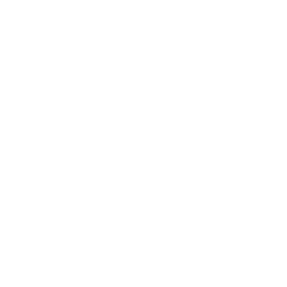 UD Icon